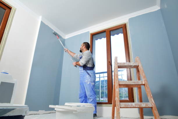 Best Mold Remediation for Healthcare Facilities  in Somerville, NJ