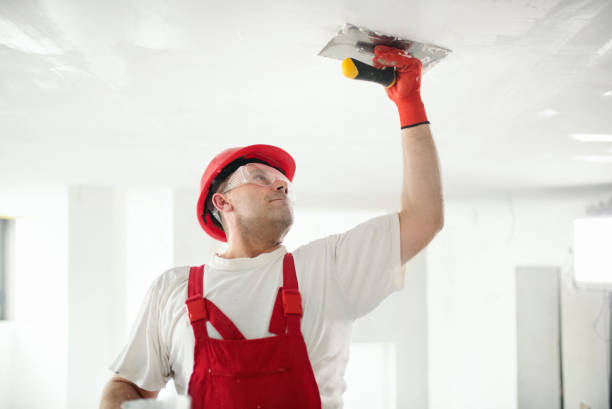 Best Mold Removal for HVAC Installations  in Somerville, NJ
