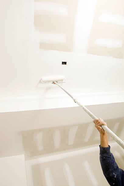 Best Mold Remediation for Healthcare Facilities  in Somerville, NJ